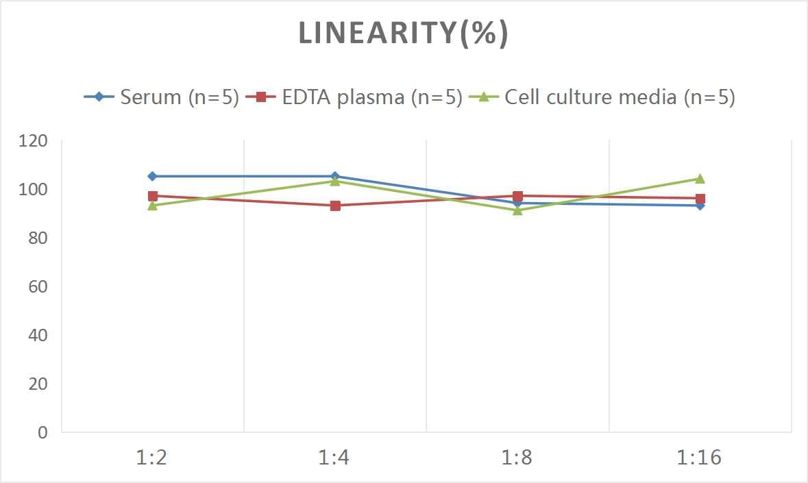 Human Collagen VIII alpha 1 ELISA Kit (Chemiluminescence)