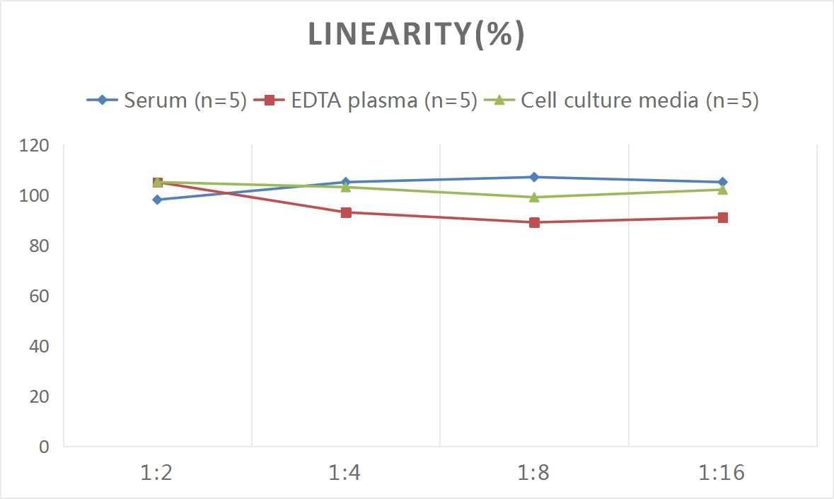 Mouse HSP90 ELISA Kit (Colorimetric)