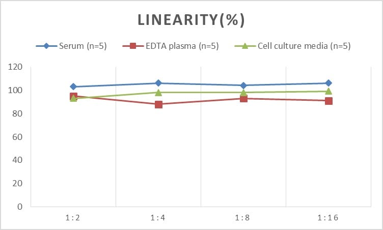 Rat gp96/HSP90B1/GRP94 ELISA Kit (Colorimetric)
