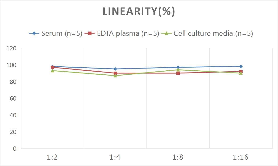Mouse TRACP/PAP/ACP5 ELISA Kit (Colorimetric)
