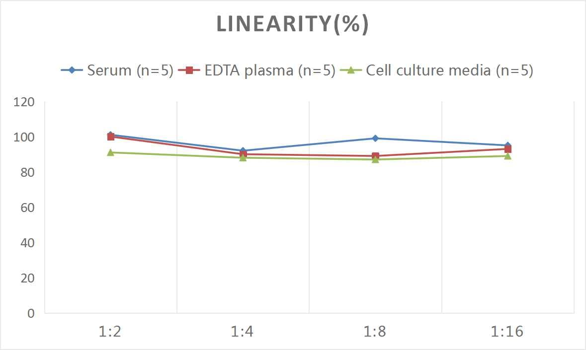 Rat TRACP/PAP/ACP5 ELISA Kit (Colorimetric)