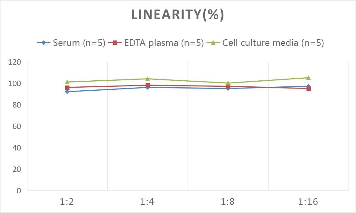 Human Deoxypyridinoline ELISA Kit (Colorimetric)