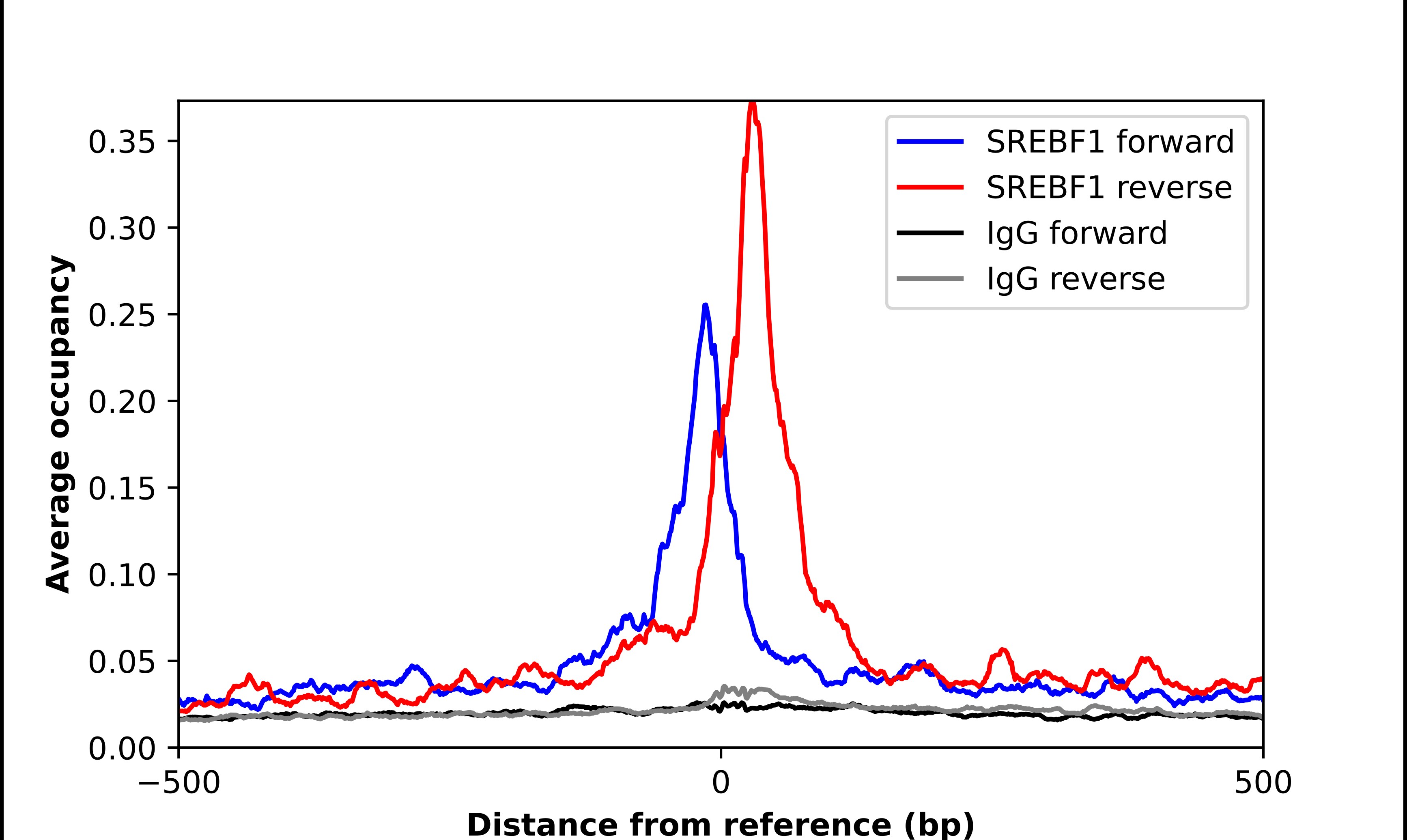 SREBP1 Antibody - BSA Free Chromatin Immunoprecipitation ChIP: SREBP1 Antibody - BSA Free