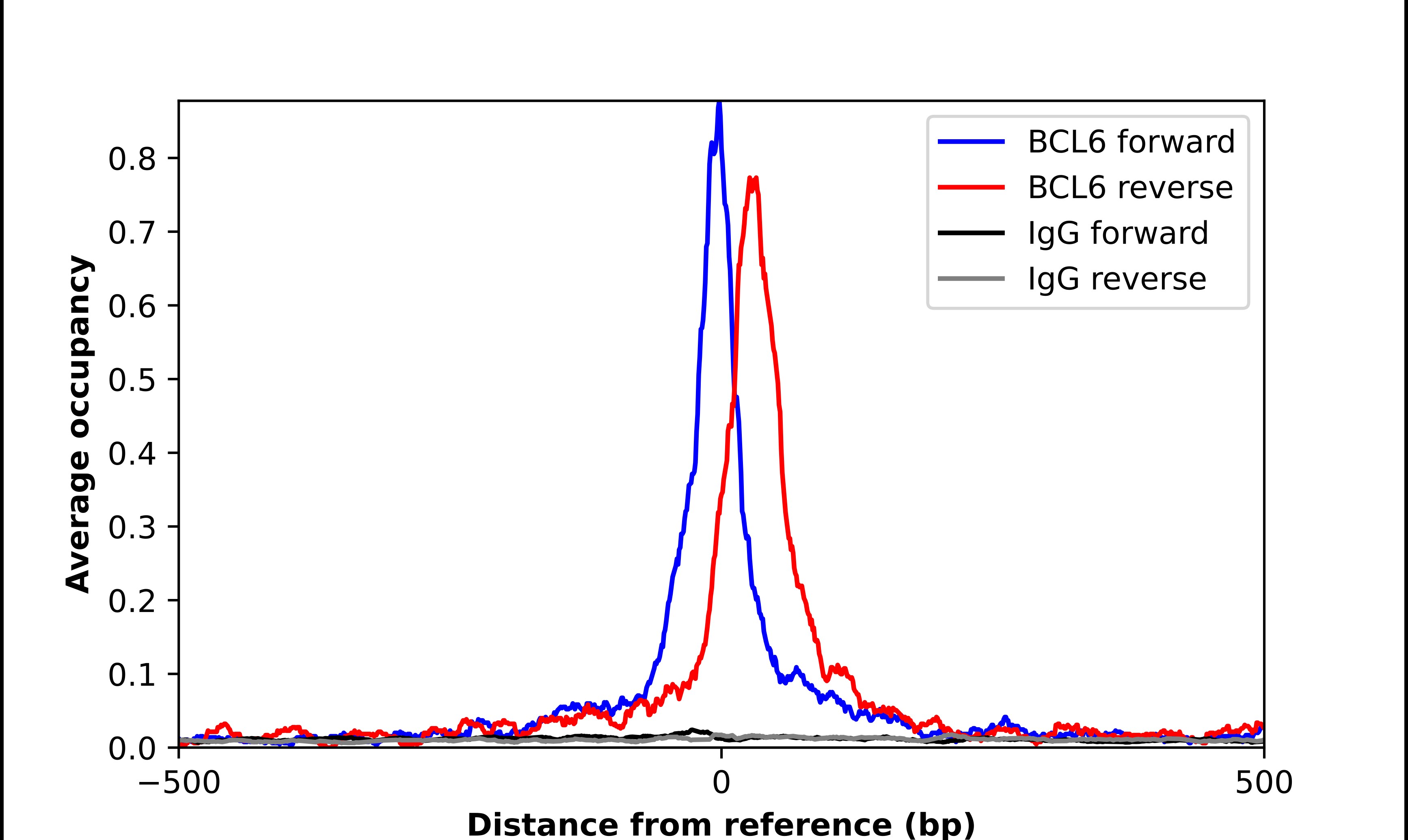 Bcl-6 Antibody - BSA Free Chromatin Immunoprecipitation-exo-Seq: Bcl-6 Antibody - BSA Free [NBP2-76541]