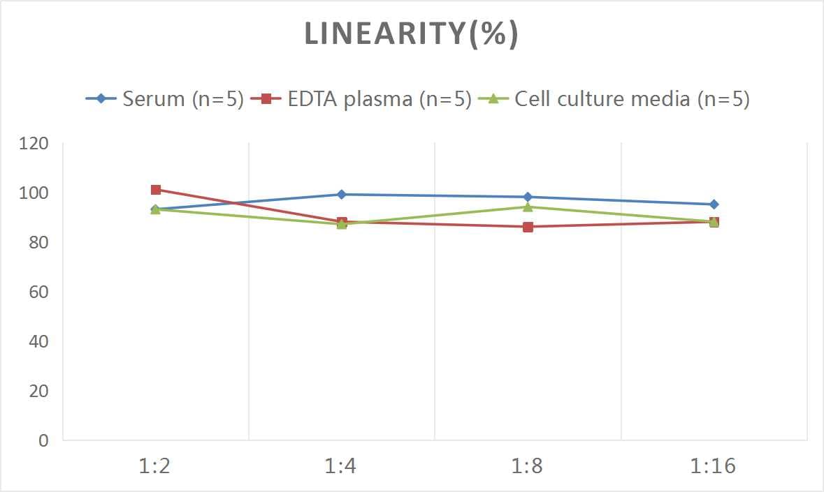 Rat Hsp47 ELISA Kit (Colorimetric)