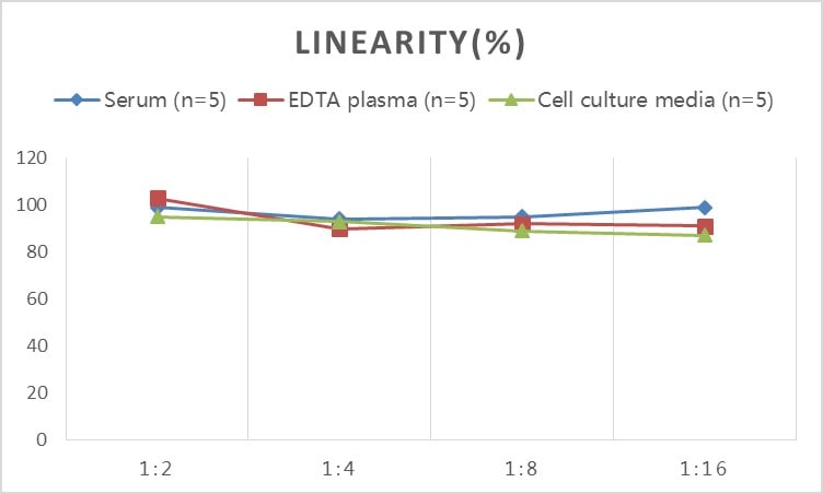 Human Syndecan-2/CD362 ELISA Kit (Colorimetric)