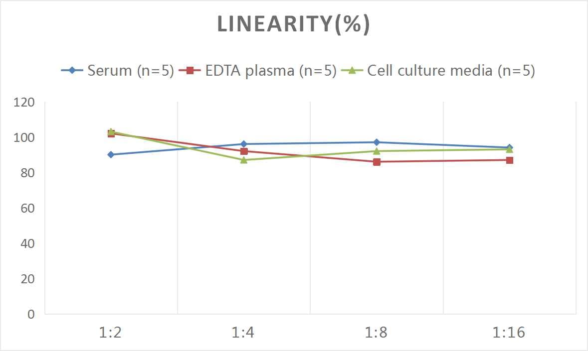 Rat Syndecan-2/CD362 ELISA Kit (Colorimetric)