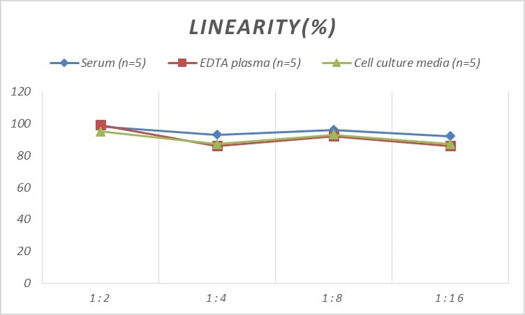 Human ERAB ELISA Kit (Colorimetric)