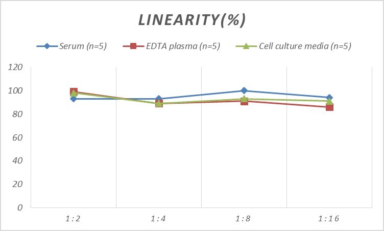 Mouse HSF2 ELISA Kit (Colorimetric)