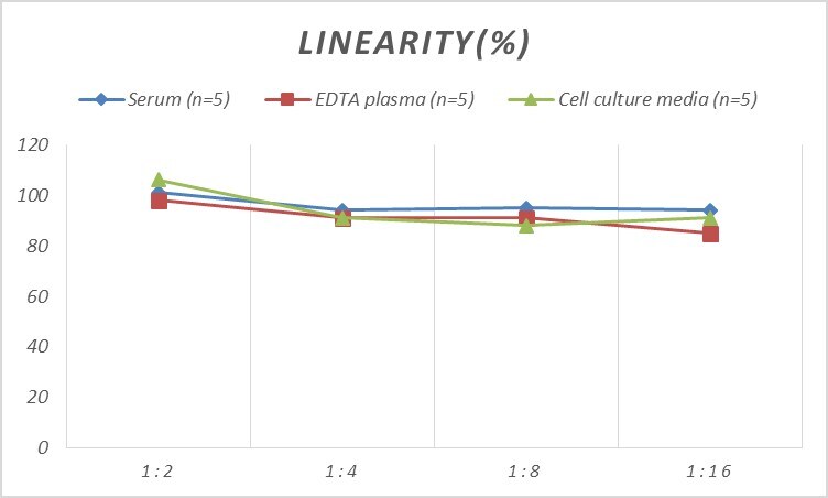 Human TNKS2 ELISA Kit (Colorimetric)