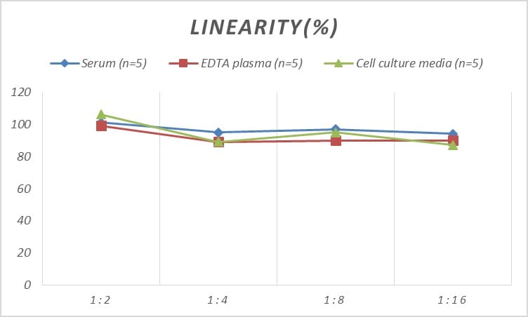 Human TNNC2 ELISA Kit (Colorimetric)