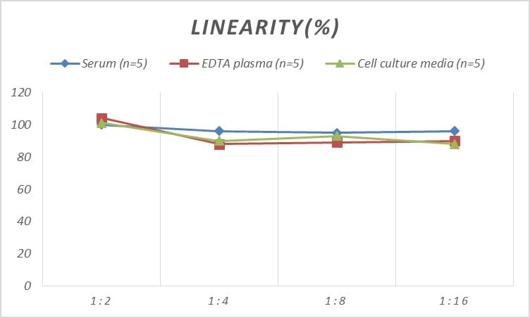 Rat Troponin T Type 3 (fast skeletal) ELISA Kit (Colorimetric)