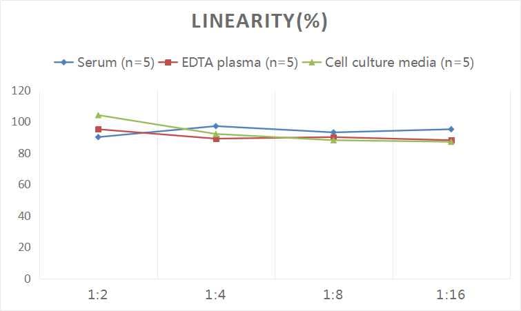 Human Smad1 ELISA Kit (Colorimetric)
