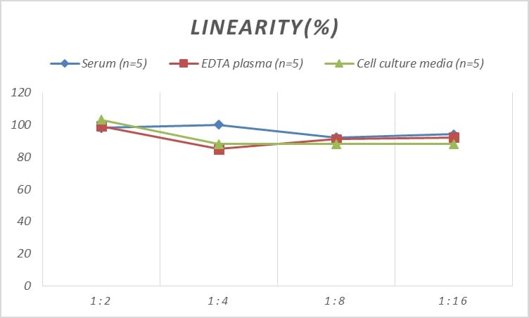 Human SMAD6 ELISA Kit (Colorimetric)