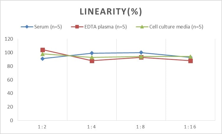Mouse Smad7 ELISA Kit (Colorimetric)