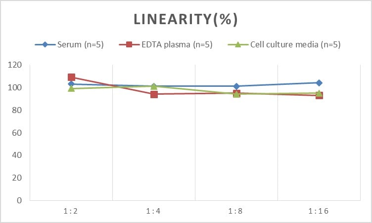 Rat HSP60 ELISA Kit (Chemiluminescence)