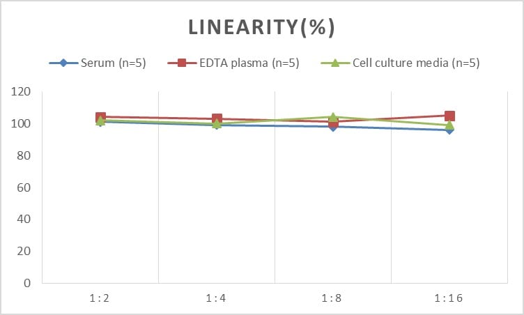 Rabbit Syndecan-1/CD138 ELISA Kit (Colorimetric)