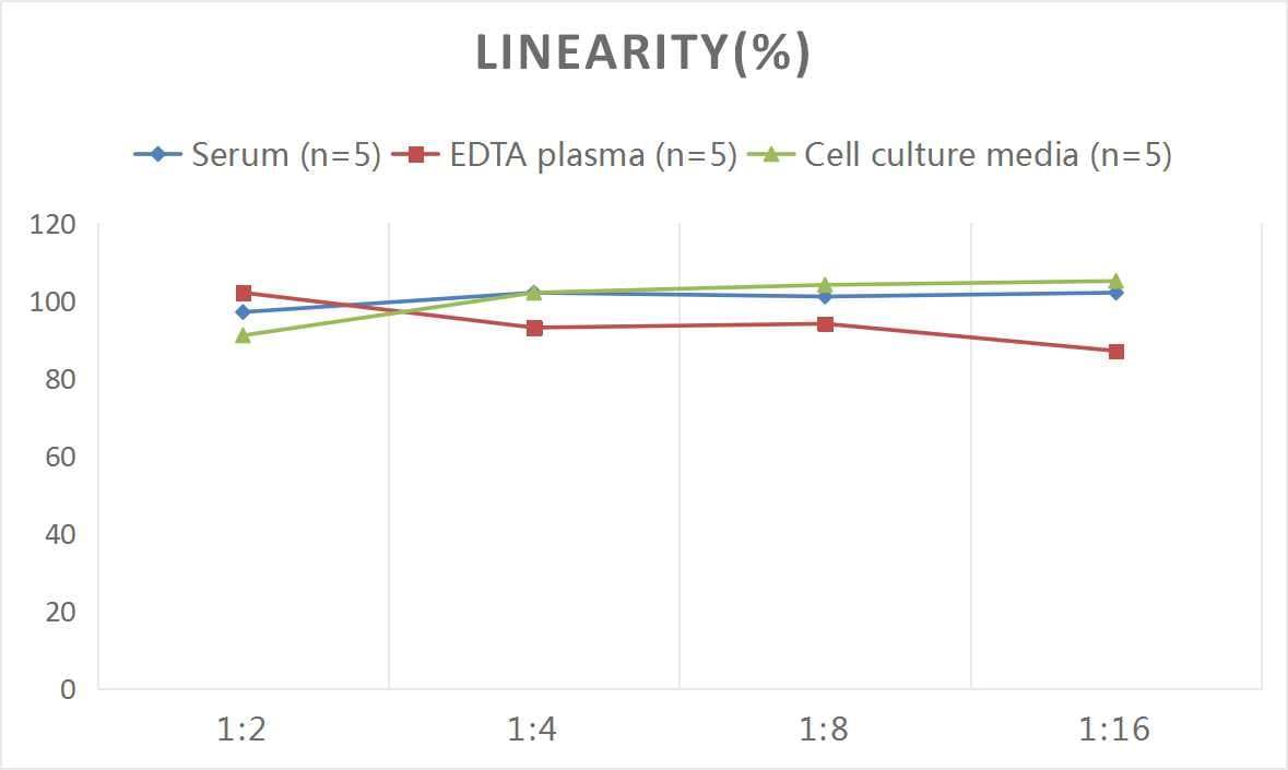 Rat Enolase 2/Neuron-specific Enolase ELISA Kit (Colorimetric)