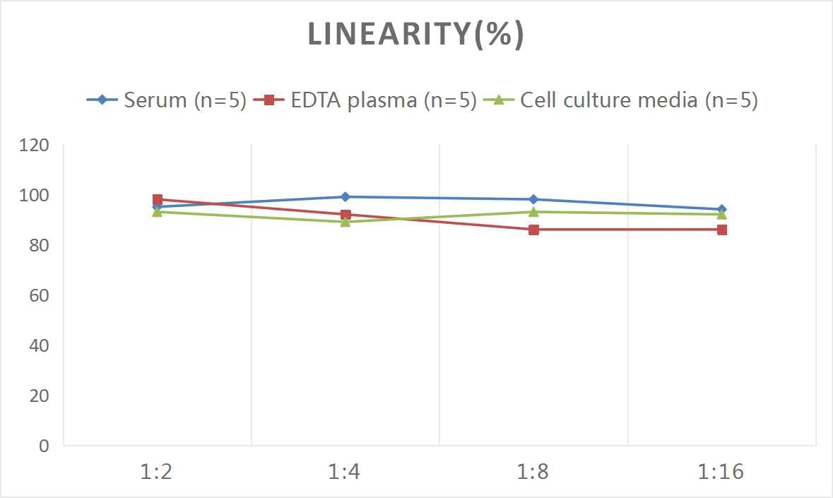 Mouse MUC5AC ELISA Kit (Colorimetric)