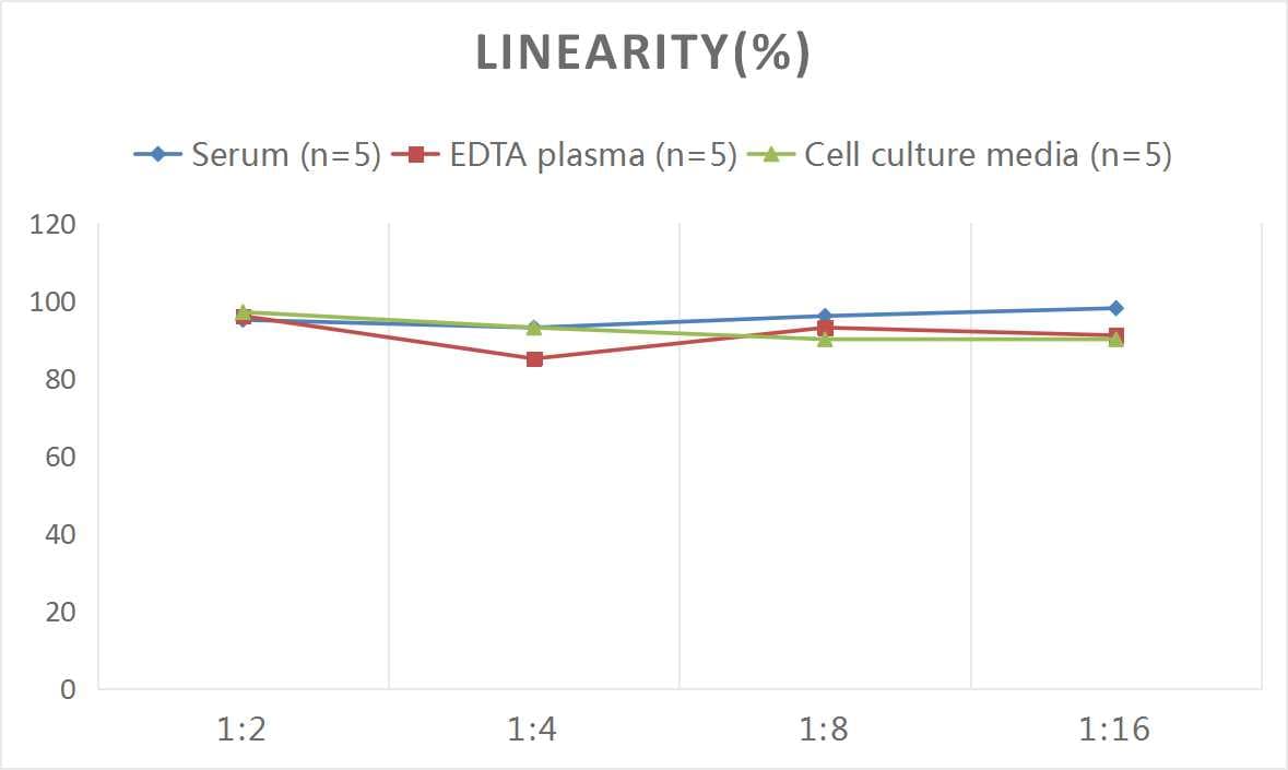 Human MUC5B ELISA Kit (Colorimetric)