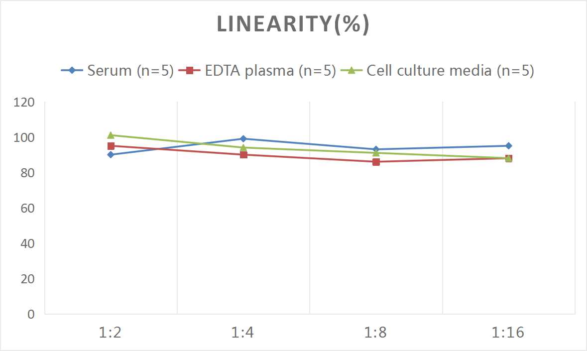 Mouse MUC5B ELISA Kit (Colorimetric)