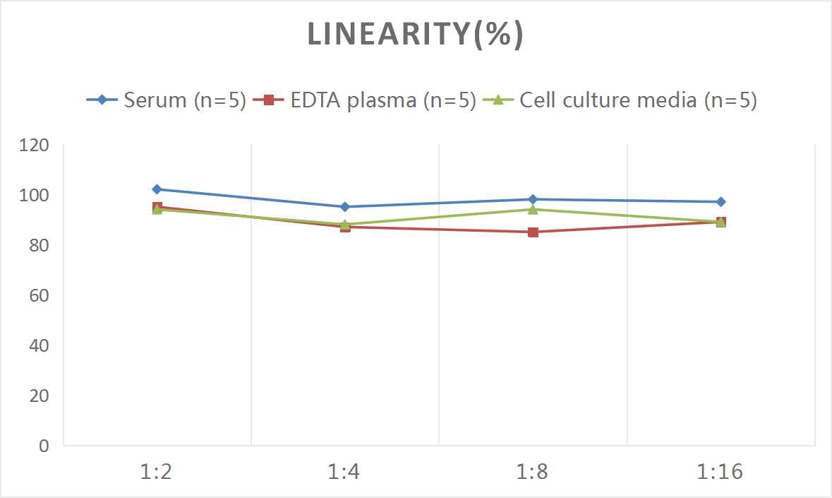 Human MUC7 ELISA Kit (Colorimetric)