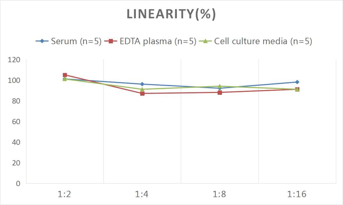 Rat PBEF/Visfatin/NAMPT ELISA Kit (Colorimetric)