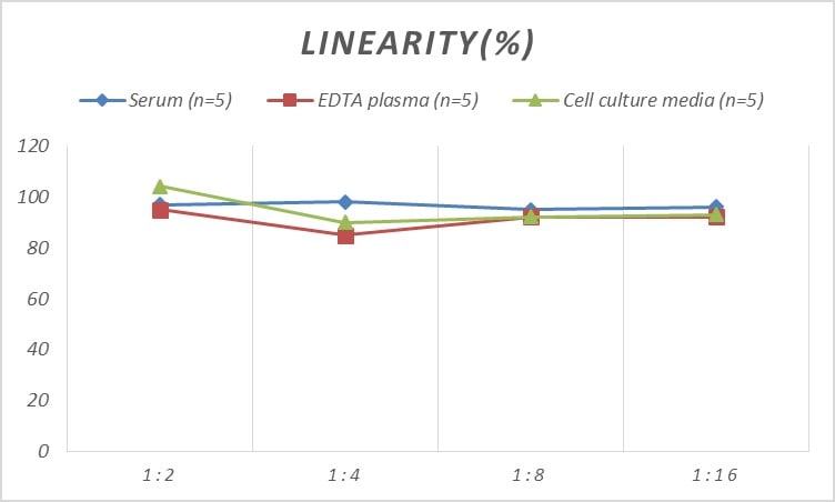 Rat Galanin R2/GALR2 ELISA Kit (Colorimetric)