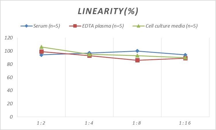 Mouse SAA2 ELISA Kit (Colorimetric)