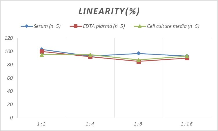 Rat Neuroglobin ELISA Kit (Colorimetric)