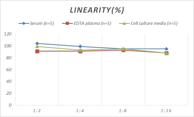 Human Nidogen-2 ELISA Kit (Colorimetric)