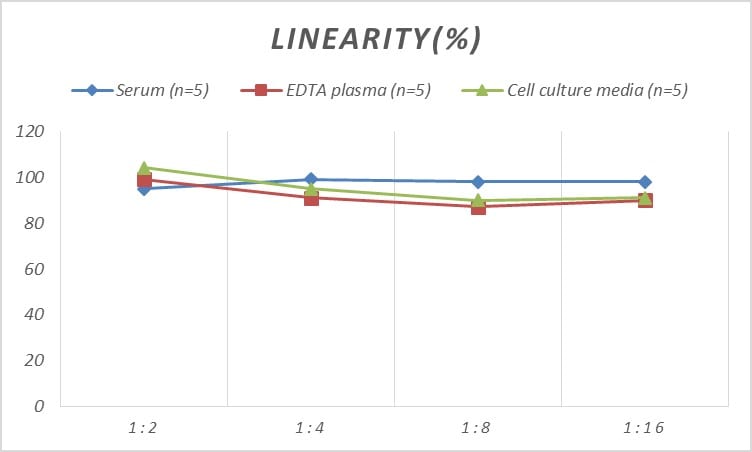 Human Neuronal Pentraxin 1 ELISA Kit (Colorimetric)
