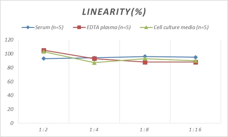 Human Neuronal Pentraxin 2 ELISA Kit (Colorimetric)