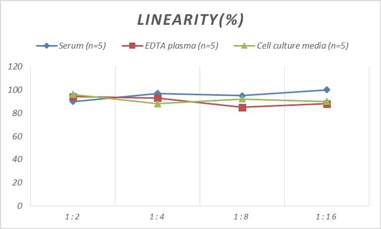 Human NPY5R ELISA Kit (Colorimetric)