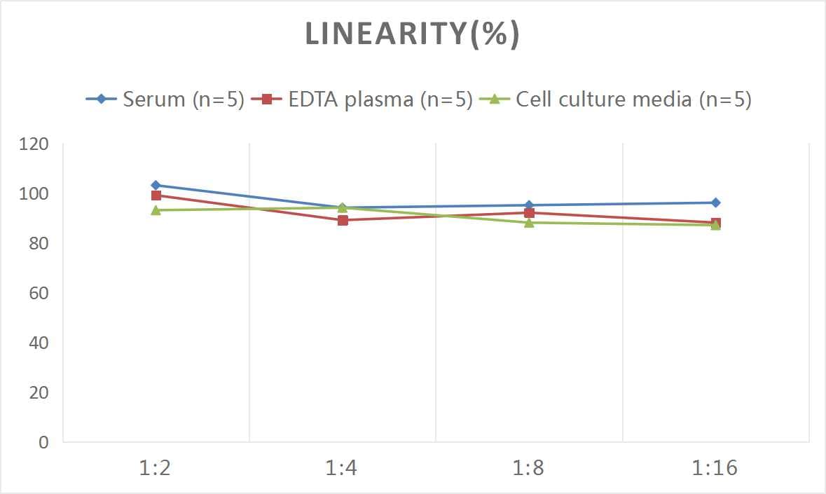 Mouse NT-proBNP ELISA Kit (Colorimetric)