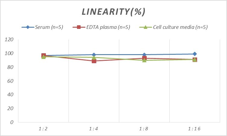 Rat TrkC ELISA Kit (Colorimetric)