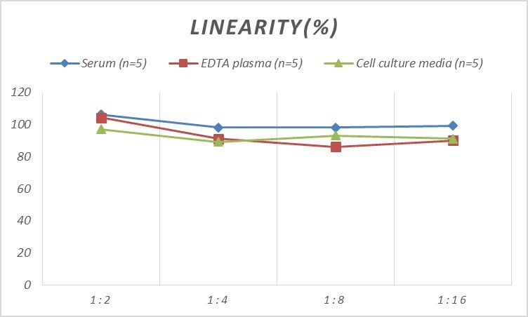 Rat OSCAR ELISA Kit (Colorimetric)