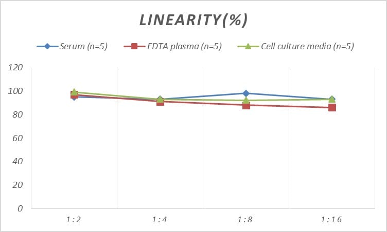 Human OSTF1 ELISA Kit (Colorimetric)