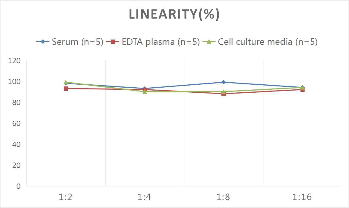 Human Nox4 ELISA Kit (Colorimetric)