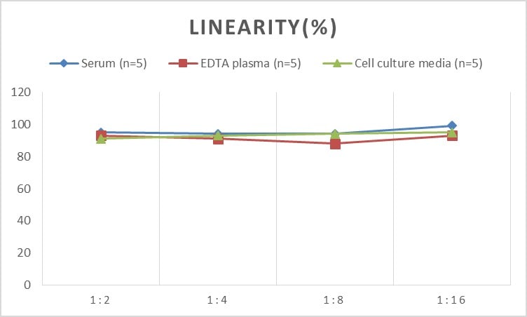 Mouse Nox4 ELISA Kit (Colorimetric)
