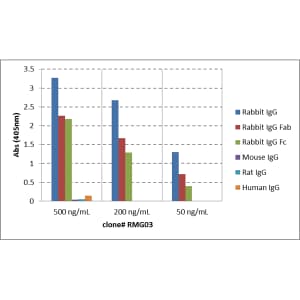 IgG Antibody (RMG03)