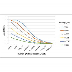 Ig Light Chain Antibody (RM129)