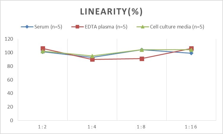 Rat Proinsulin ELISA Kit (Chemiluminescence)