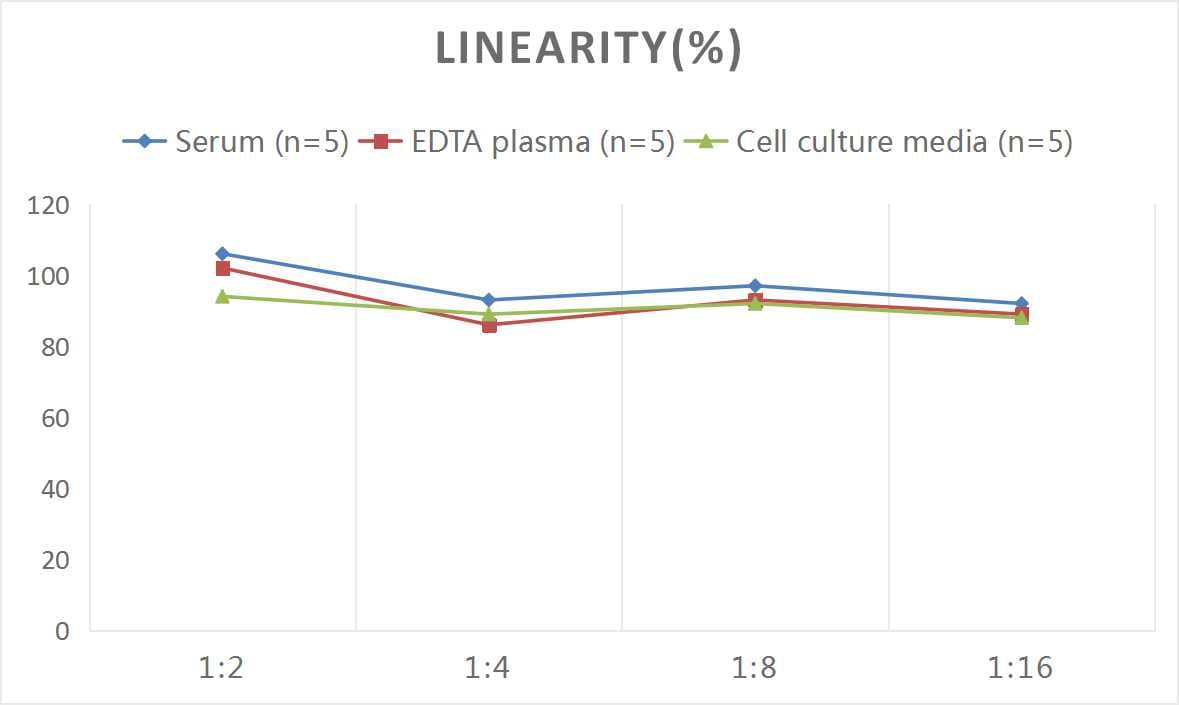 Mouse AgRP/ART ELISA Kit (Colorimetric)