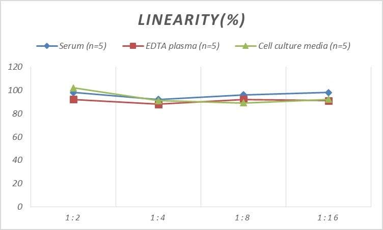 Rat CCL15/MIP-1 delta ELISA Kit (Colorimetric)