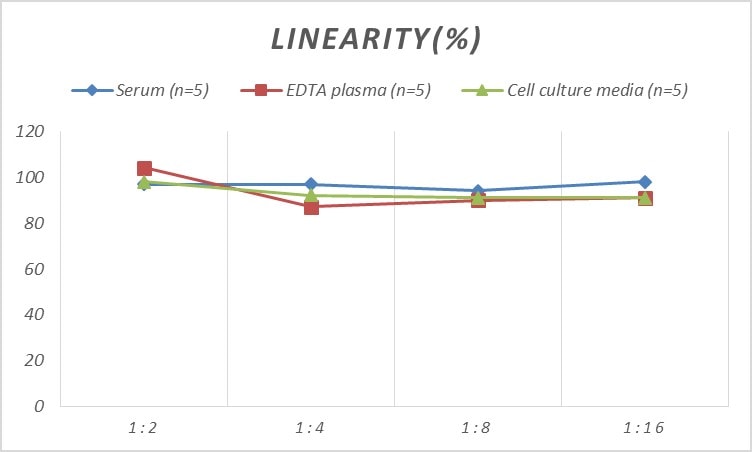 Mouse NF-M ELISA Kit (Colorimetric)