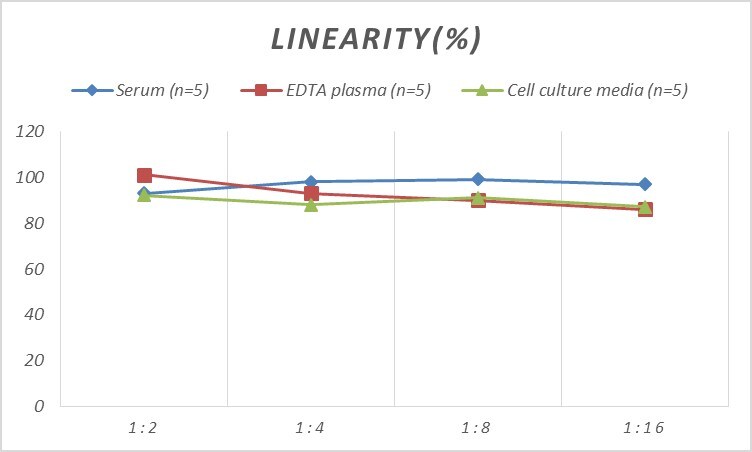 Rat NF-M ELISA Kit (Colorimetric)