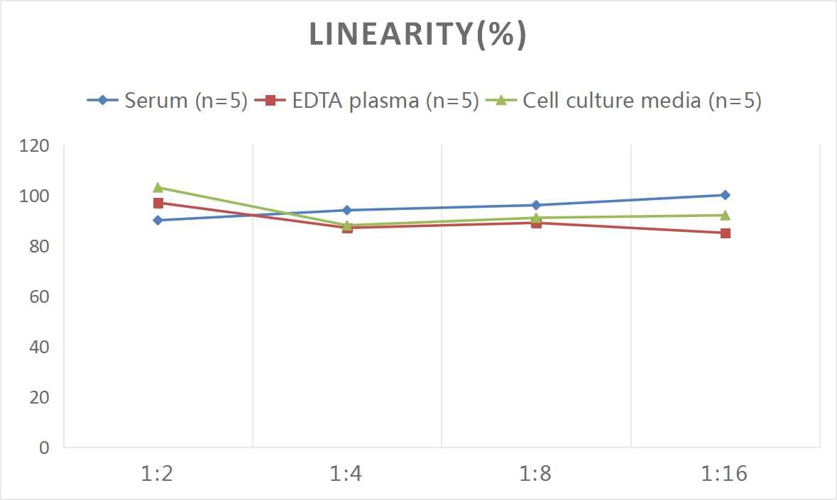 Human NF-H [p Ser668, p Ser702] ELISA Kit (Colorimetric)