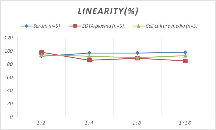 Rat NF-H ELISA Kit (Colorimetric)