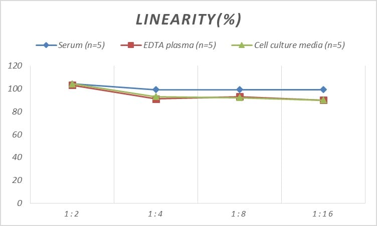 Monkey alpha 2-Macroglobulin ELISA Kit (Colorimetric)